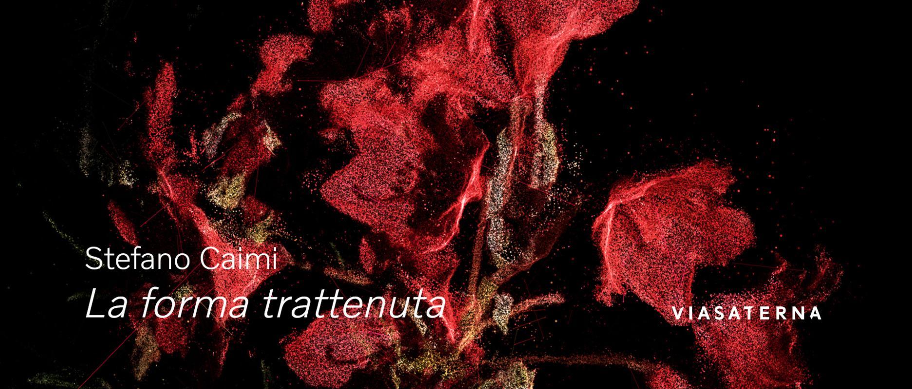 Stefano Caimi | LA FORMA TRATTENUTA